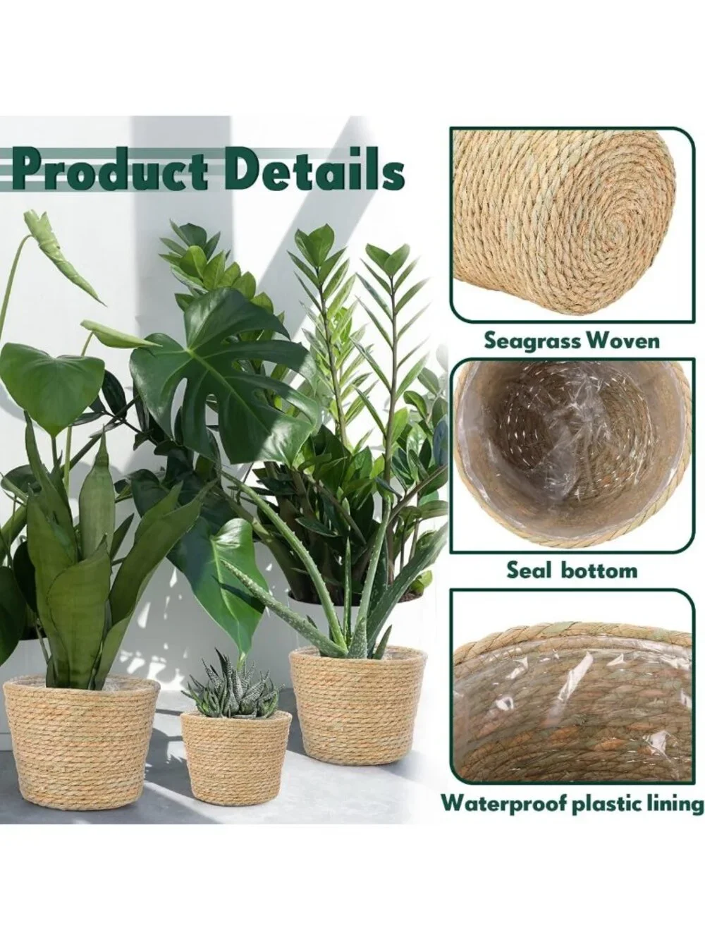 Hand Woven Seagrass Planter Basket Set of 6 | Classic Flower Pot Covers